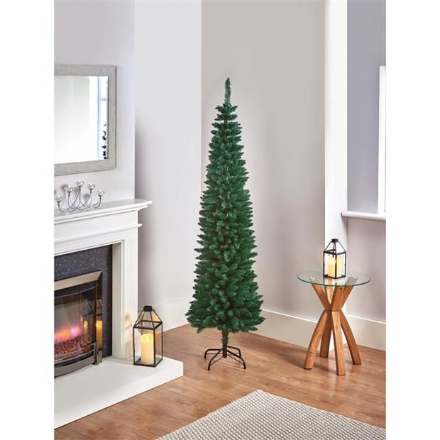 Pencil Pine - Green 1.7m