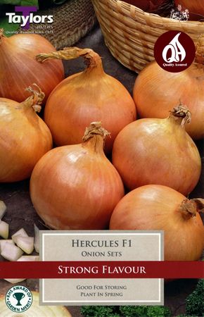 Onion Set - Hercules F1 - 50 Bulbs