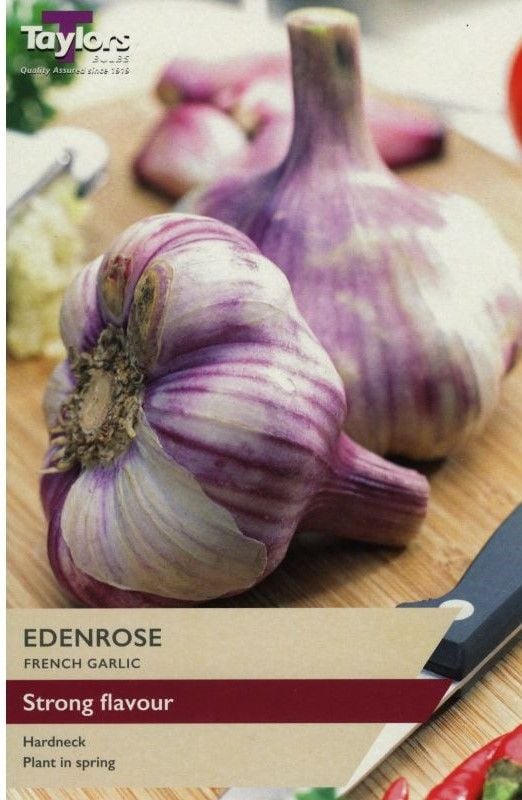 Garlic Edenrose - 2 Bulbs