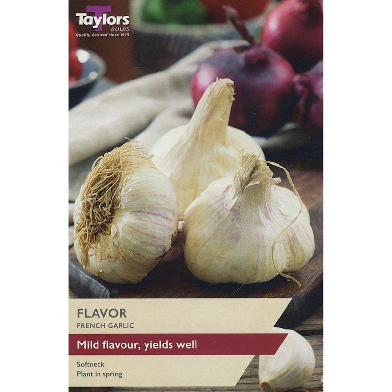 Garlic Flavor - 2 Bulbs