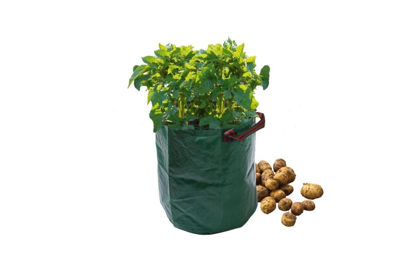 Potato Bag