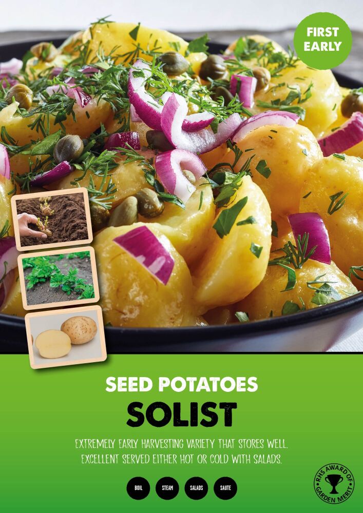 1st Early Seed Potato - Solist - 2kg