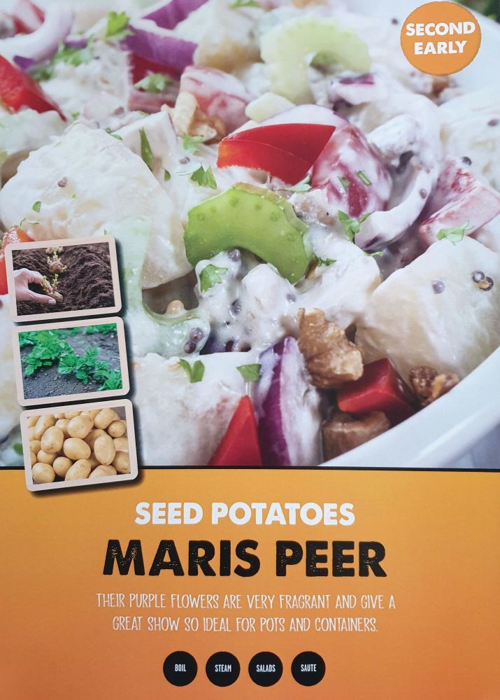 Second Early Seed Potatoes - Maris Peer - 2kg