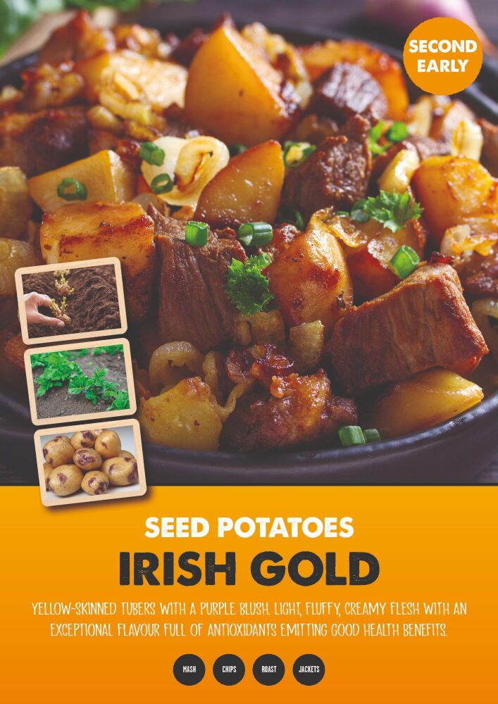 Second Early Seed Potato - Irish Gold - 2kg