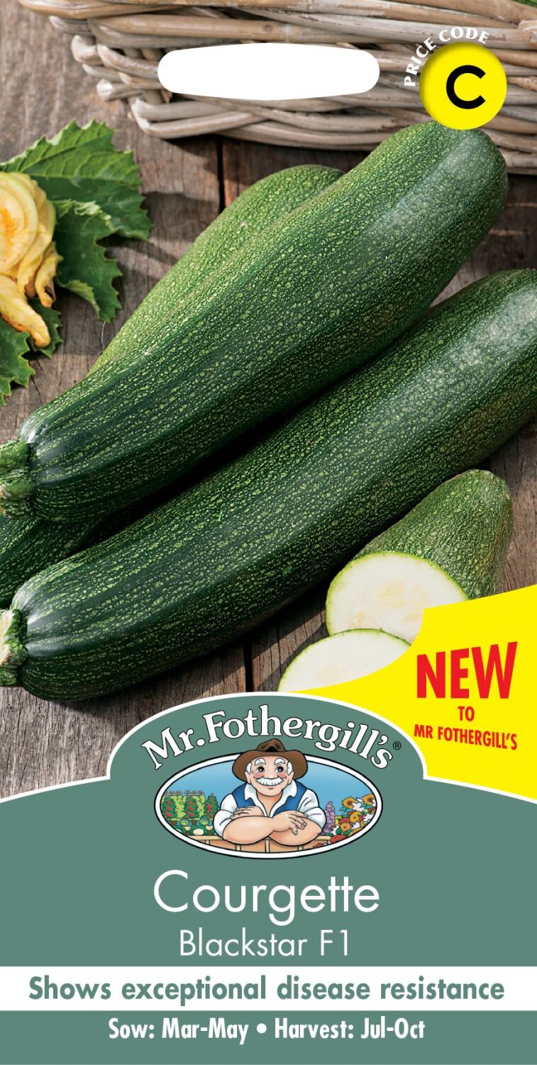 Courgette Black Star F1