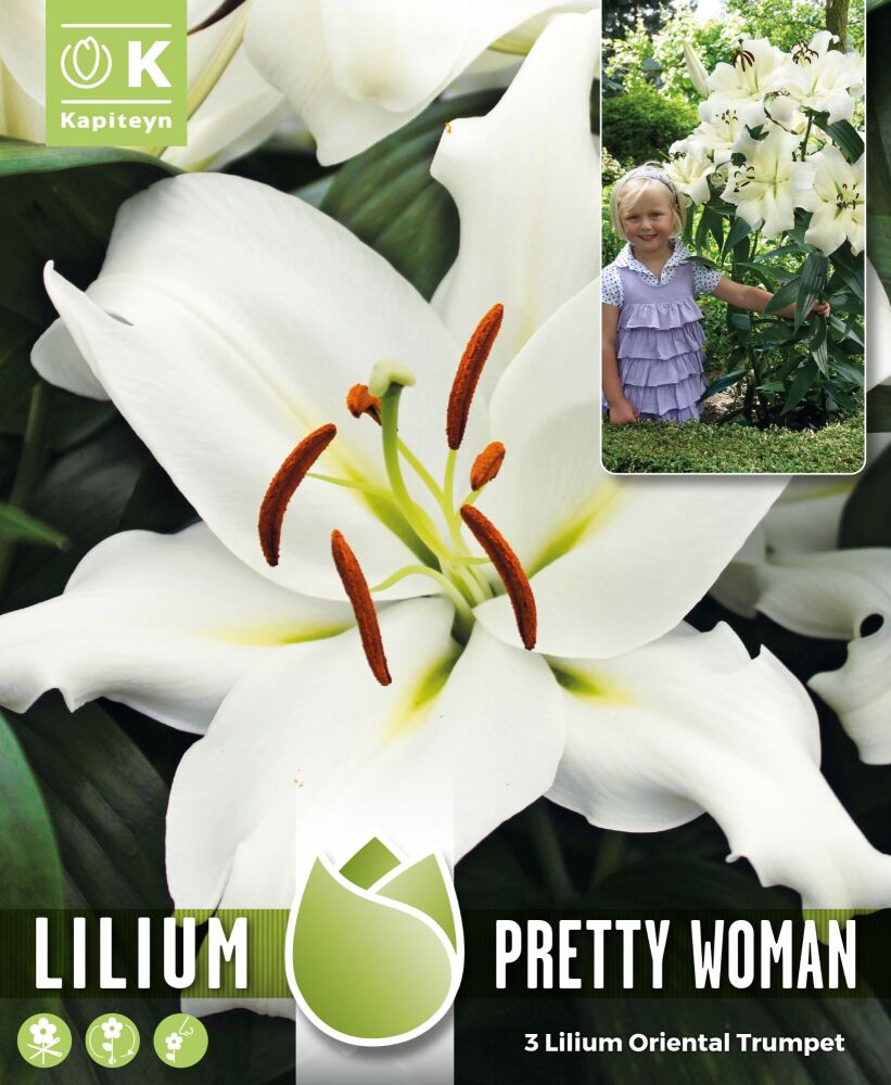 Tree Llilium Pretty Wonam - 3 Bulbs