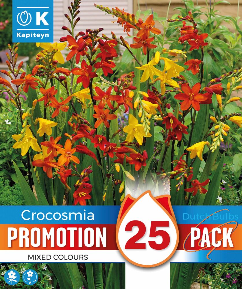 Promo Crocosmia Mixed Colours - 25 Bulbs