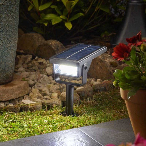 Solar Stake Light - Revo Spotlight - 50L