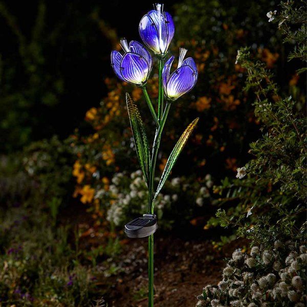 Solar Flower - Crocus