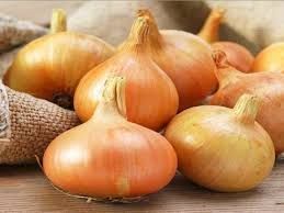 Onion Set - Stuttgarter Giant - 250g