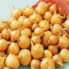 Shallots - Golden Gourmet - 250g