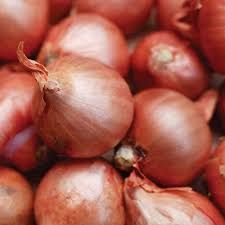 Shallots - Red Sun - 250g