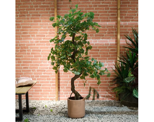 House Plant - Ginko in pot - Artificial - 150cm