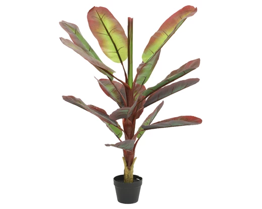 House Plant - Banana Plant - Artificial - 150cm