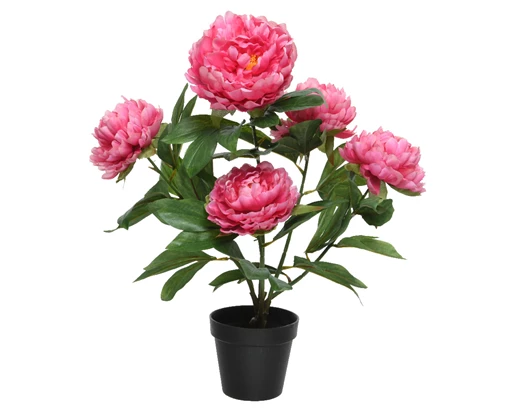 House plant - Artificial - Peoney Rose - Pink