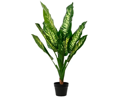 House Plant - Dieftenbachia - Artificial - 90cm