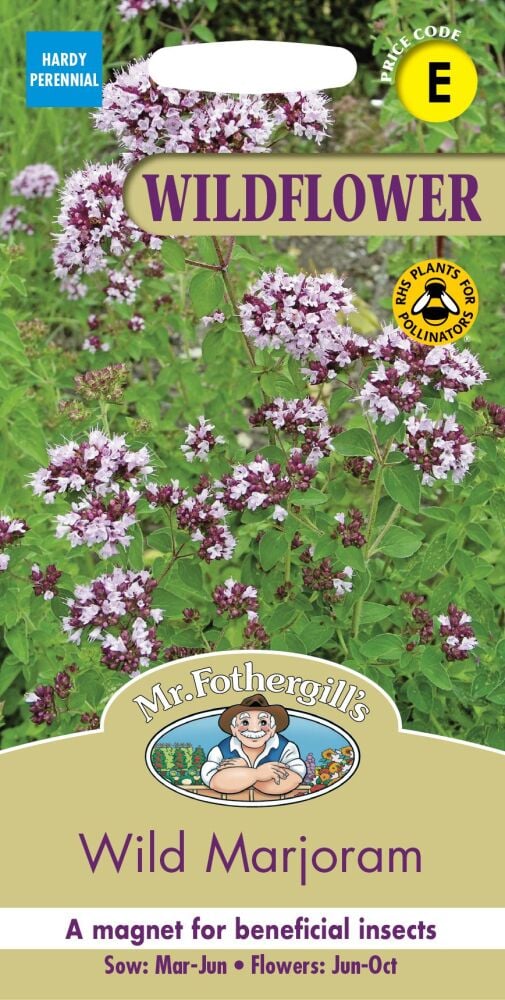 Wild Marjoram - Wildflower