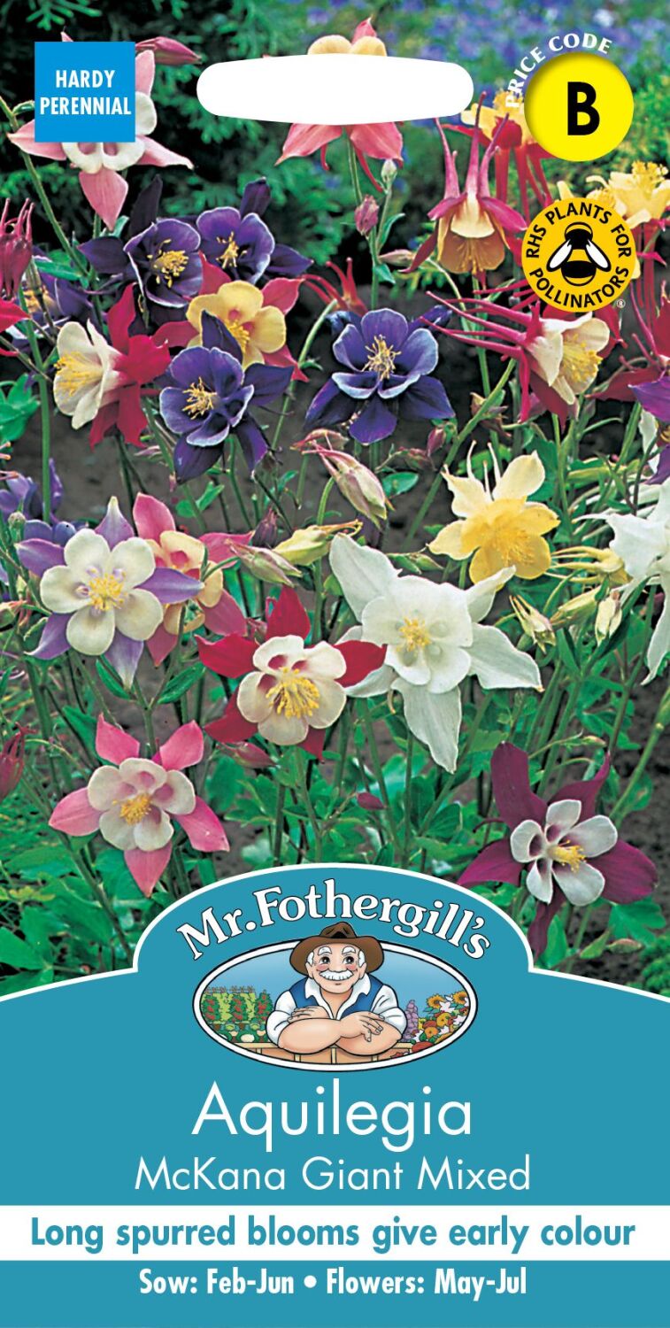 Aquilegia - McKana Giant Mixed