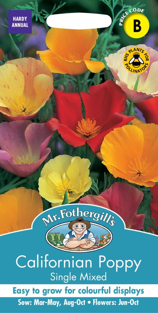 Californian Poppy - Single Mixed