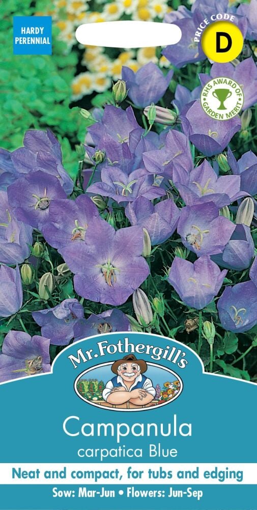 Campanula - Carpatica Blue