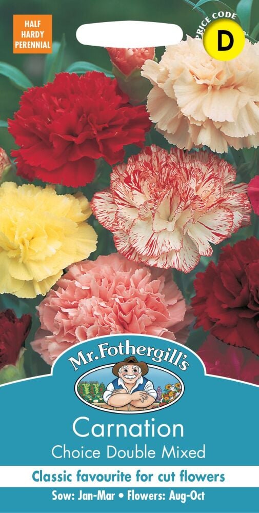 Carnation - Choice Double Mixed