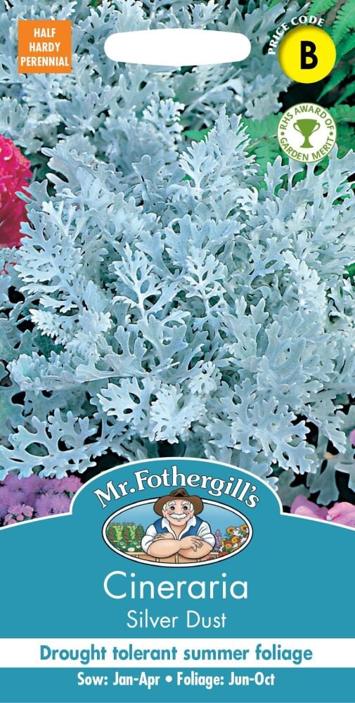 Cineraria Silver Dust