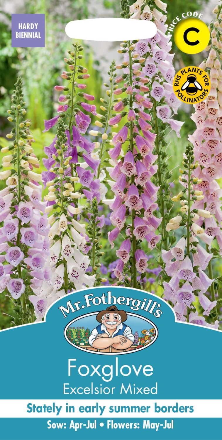 Foxglove Excelsior Mixed