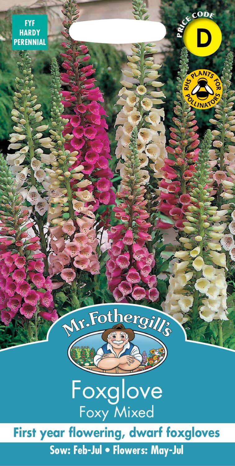 Foxglove Foxy Mixed