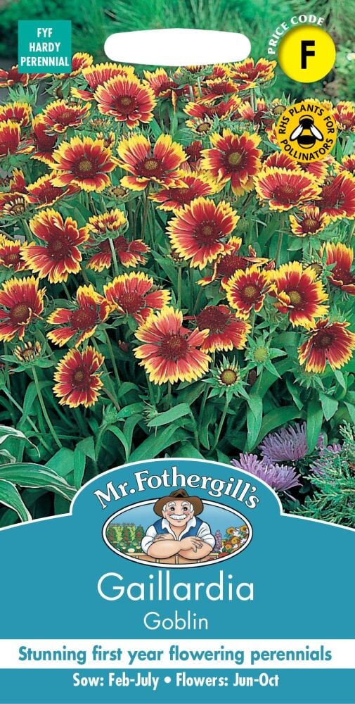 Gaillardia Goblin