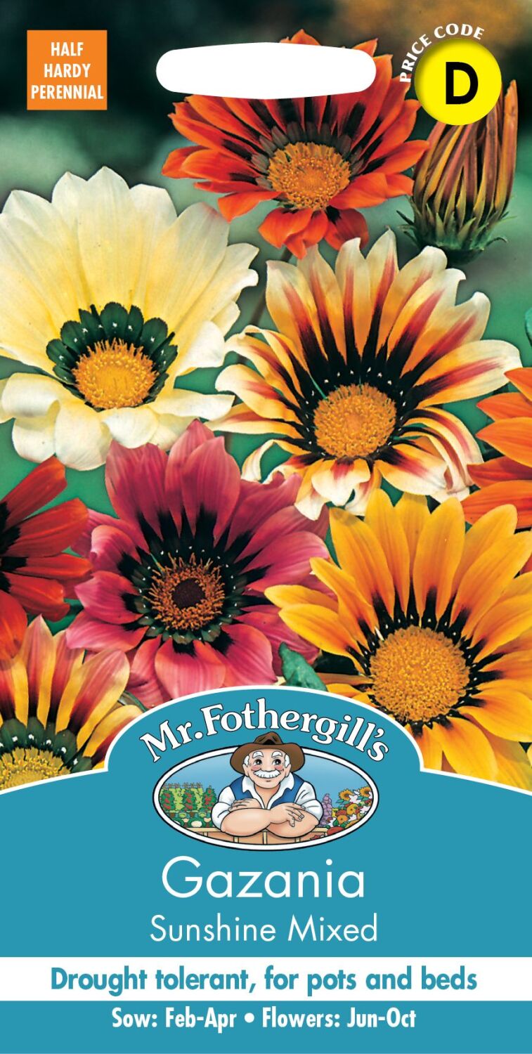 Gazania Sunshine Mixed