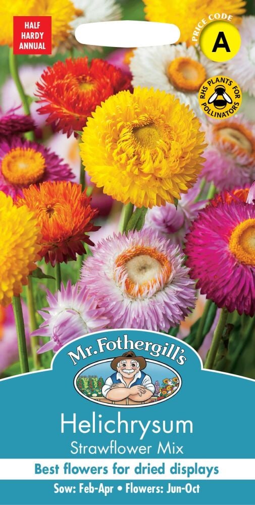 Helichrysum Strawflower Mix