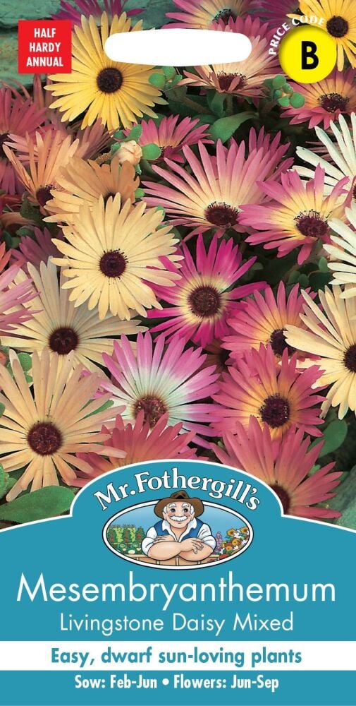 Mesembryanthemum Livingstone Daisy Mixed