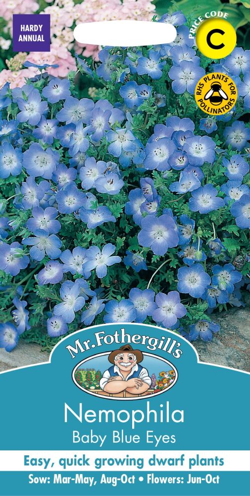 Nemophila  Baby Blue Eyes