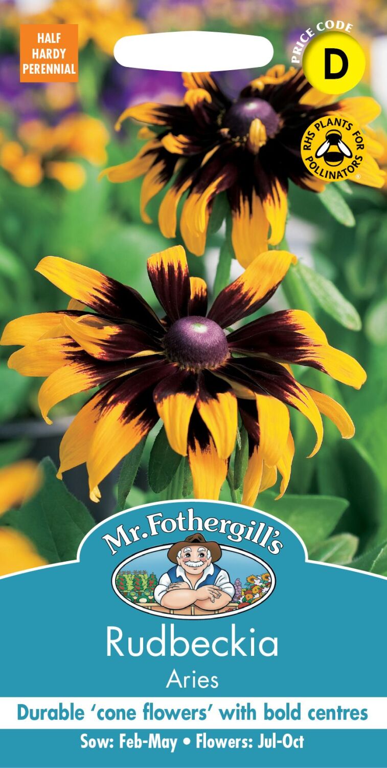 Rudbeckia Aries