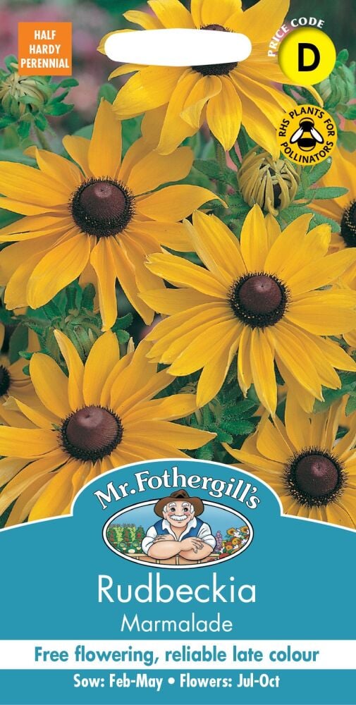 Rudbeckia Marmalade