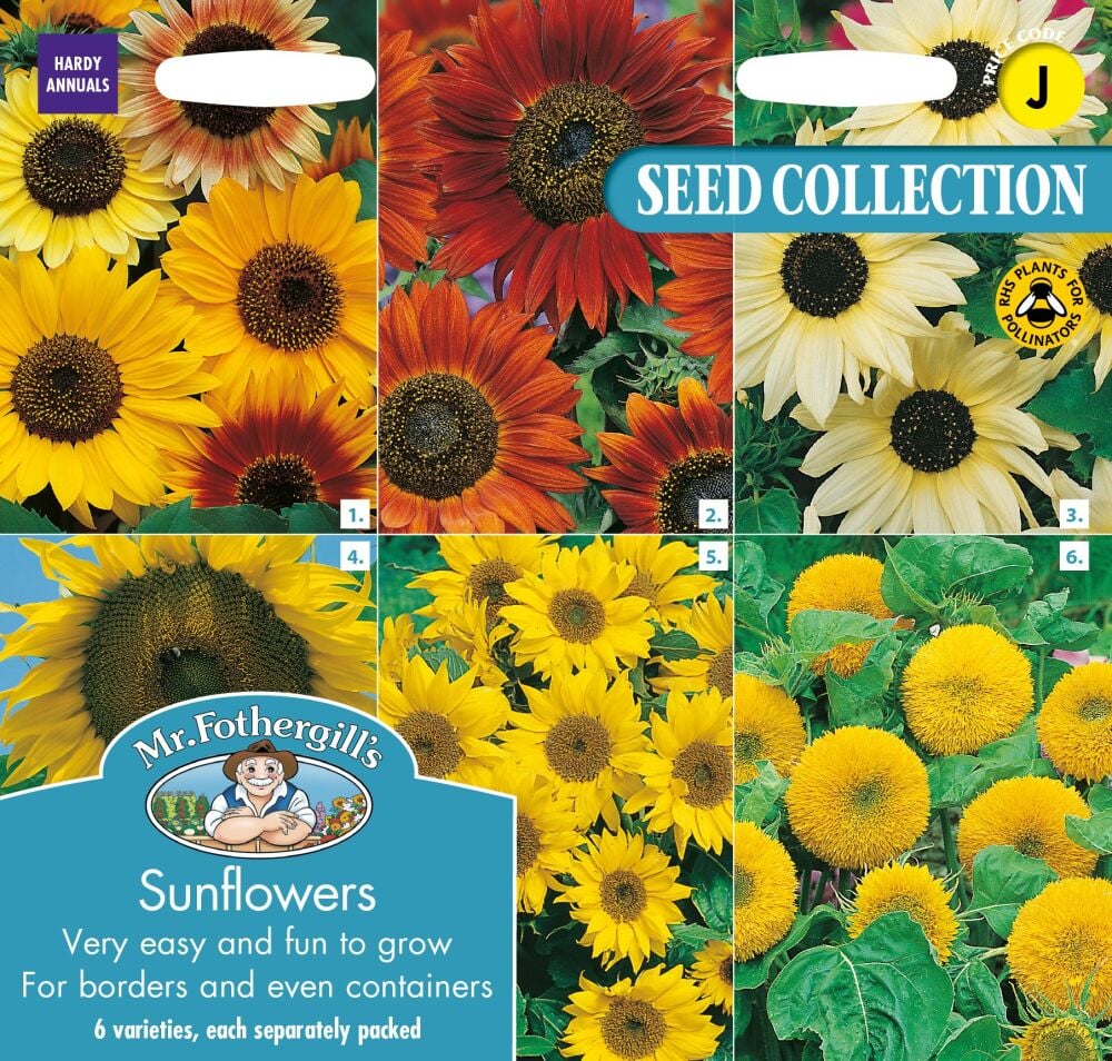 Sunflower Collection