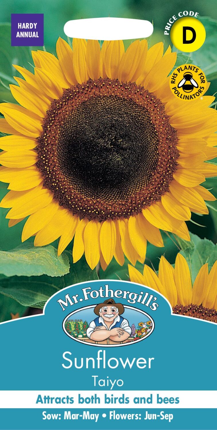 Sunflower Taiyo