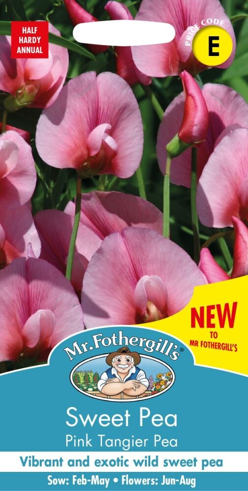 Sweet Pea  Pink Tangier Pea