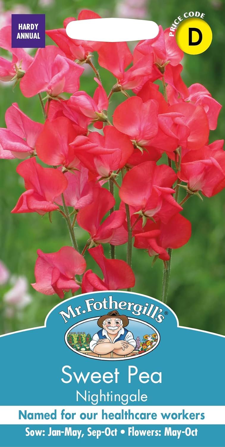 Sweet Pea Nightingale