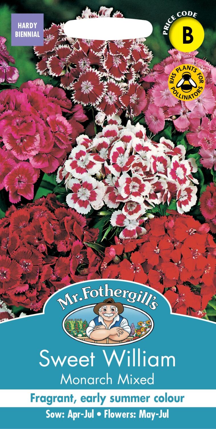 Sweet William Monarch Mixed