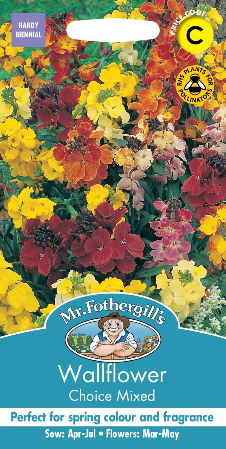 Wallflower Choice Mixed