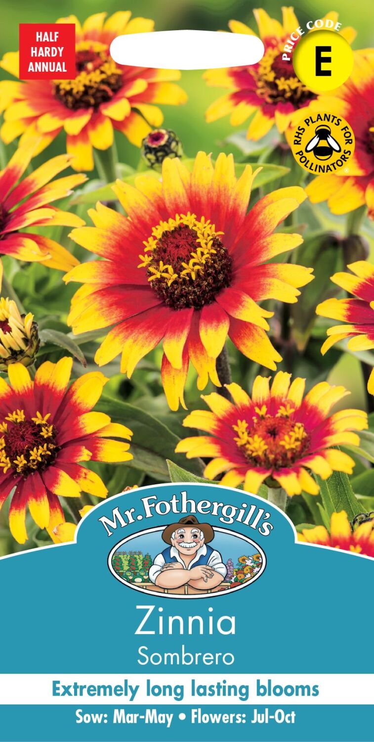 Zinnia  Sombrero