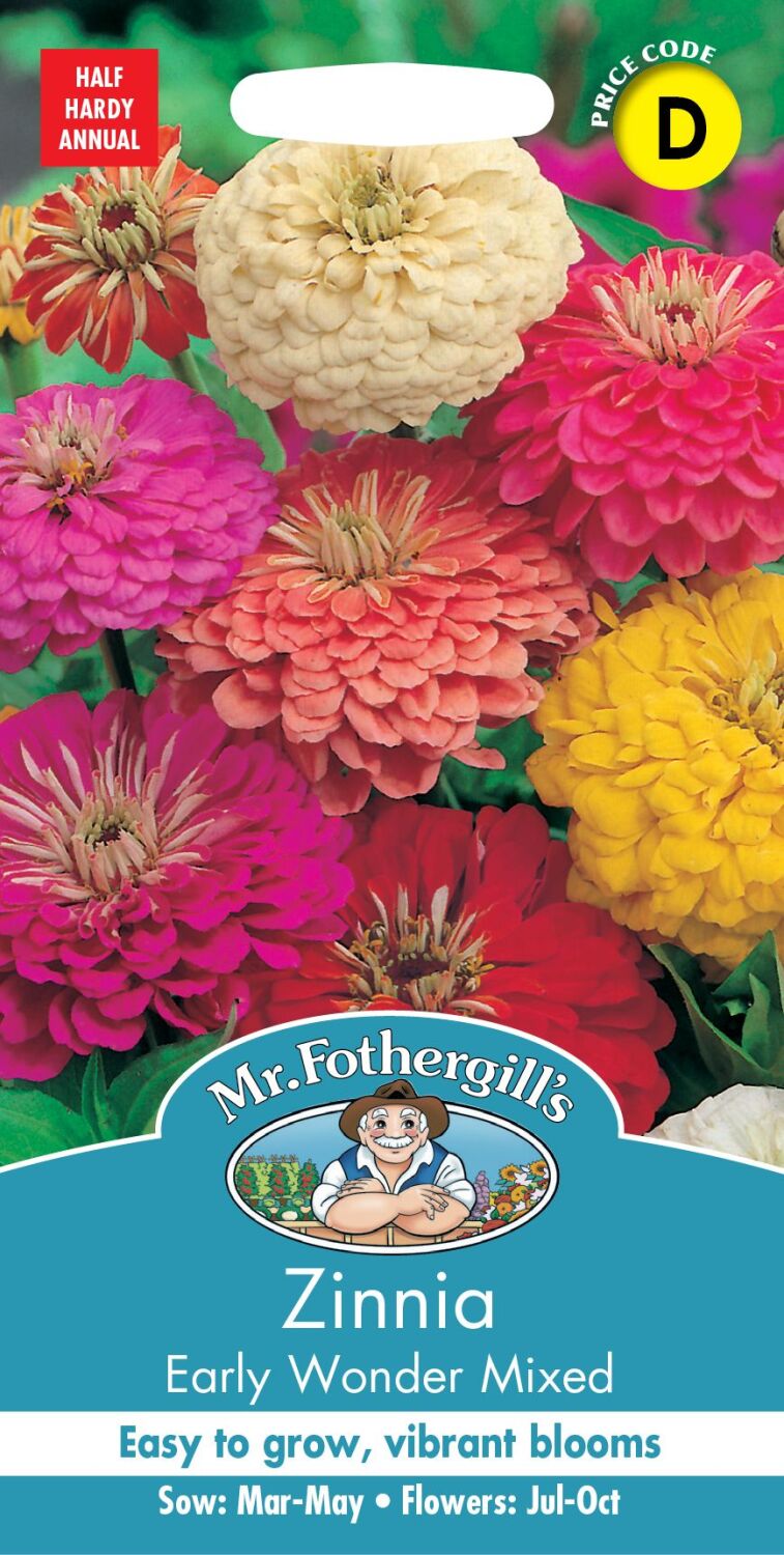 Zinnia Early Wonder Mixed