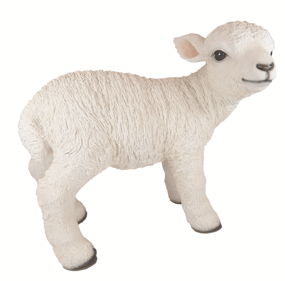Standing Lamb