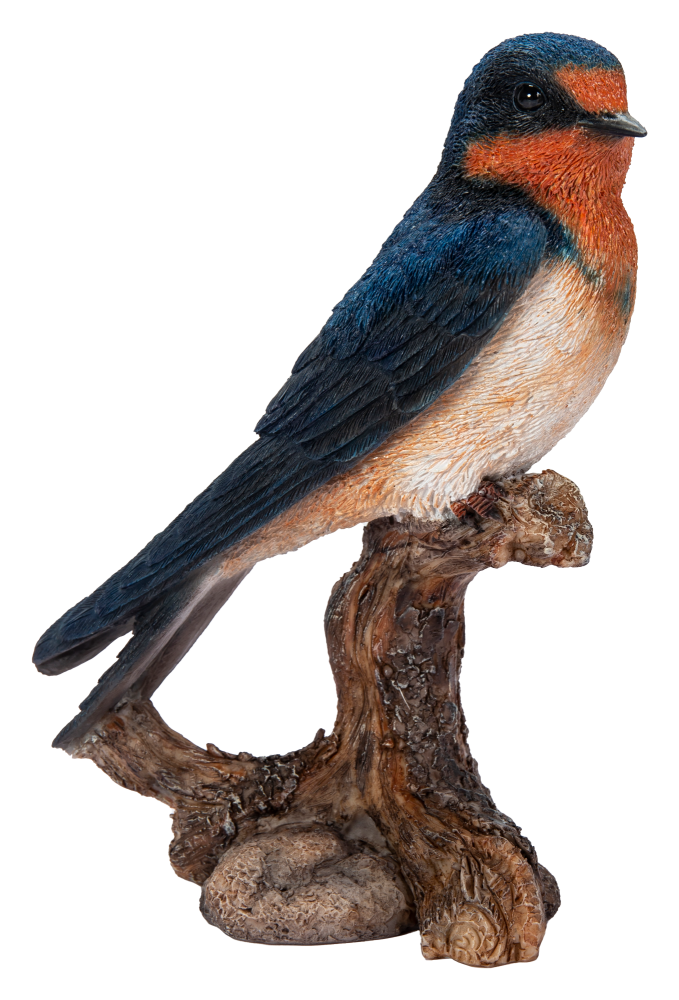 Swallow