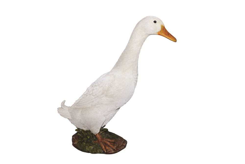 White Standing Duck