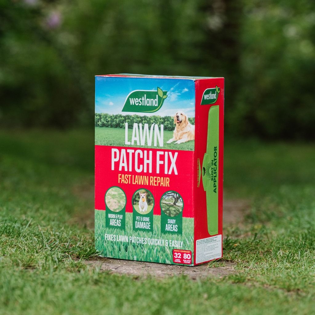 Aftercut patch fix 32 patch spread 2.4kg