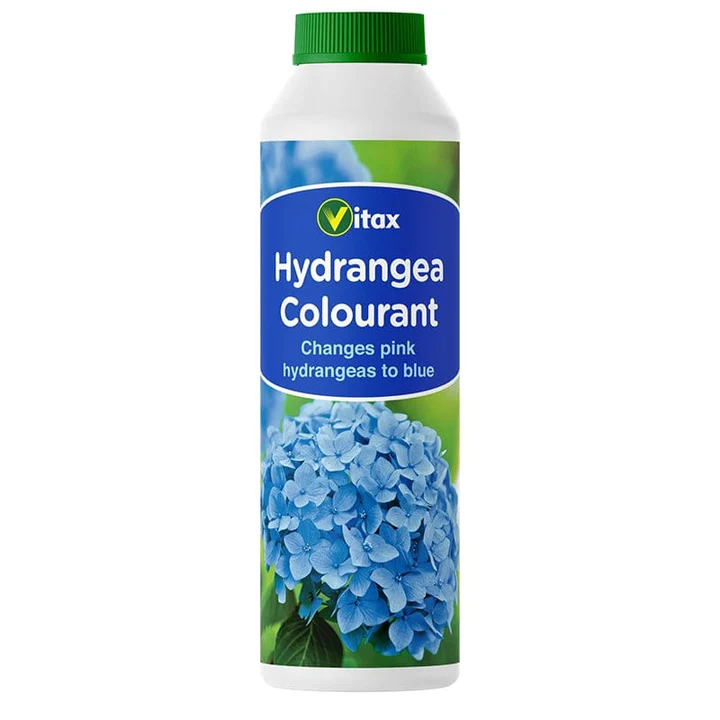 Hydrangea colourant 500g