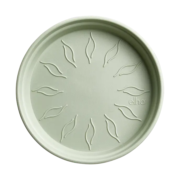 Green Basic Saucer 10 Stone Green