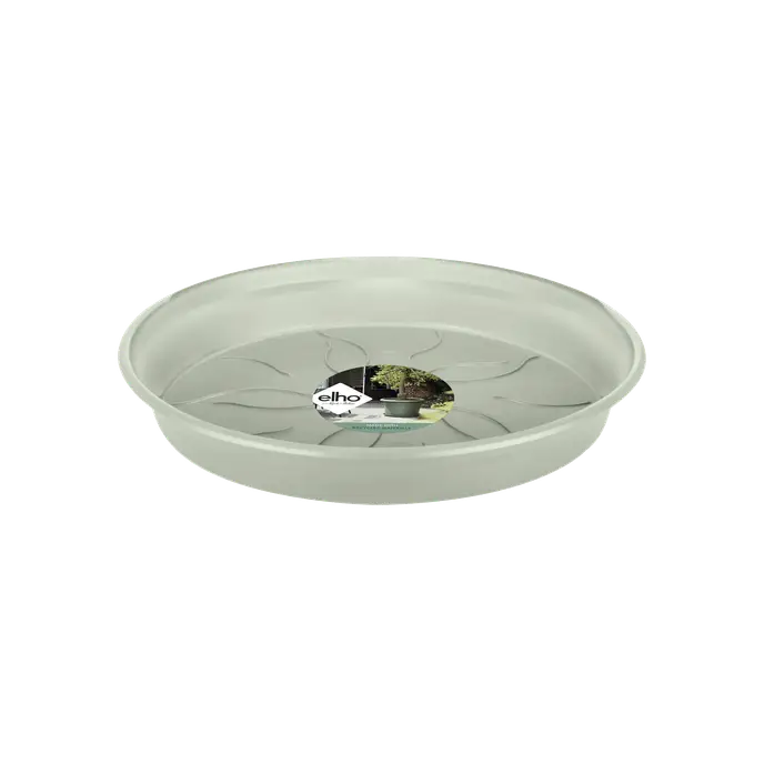Green Basic Saucer 17 Stone Green